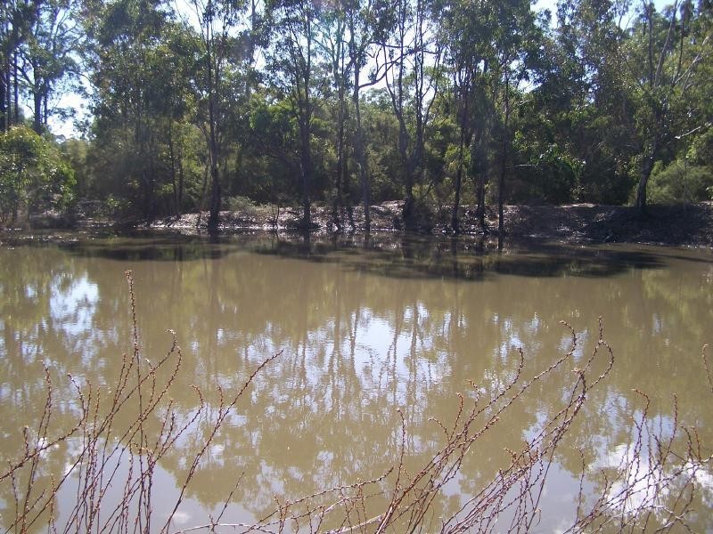 1438 Sandy Creek Road, Quorrobolong NSW 2325