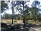 1438 Sandy Creek Road, Quorrobolong NSW 2325