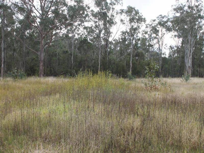 Lot 5 Hunter Street, Ellalong NSW 2325