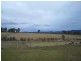 8 Walmsley Street, Millfield NSW 2325