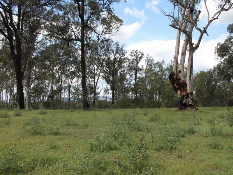 Lot 167 Vulture Street, Ellalong NSW 2325