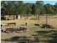 Howes Valley NSW 2330