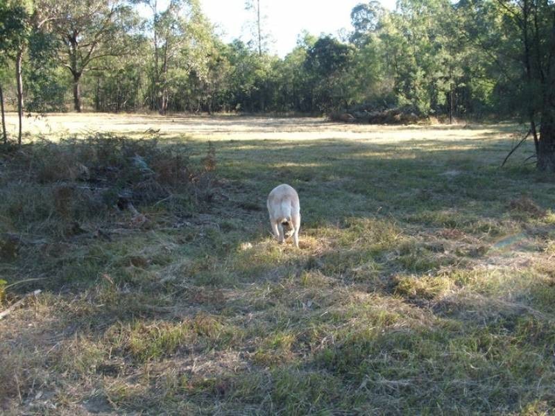 Howes Valley NSW 2330