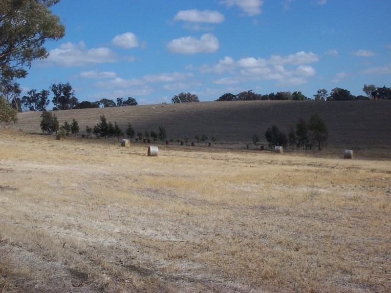 3848 Murringo Road, Young NSW 2594