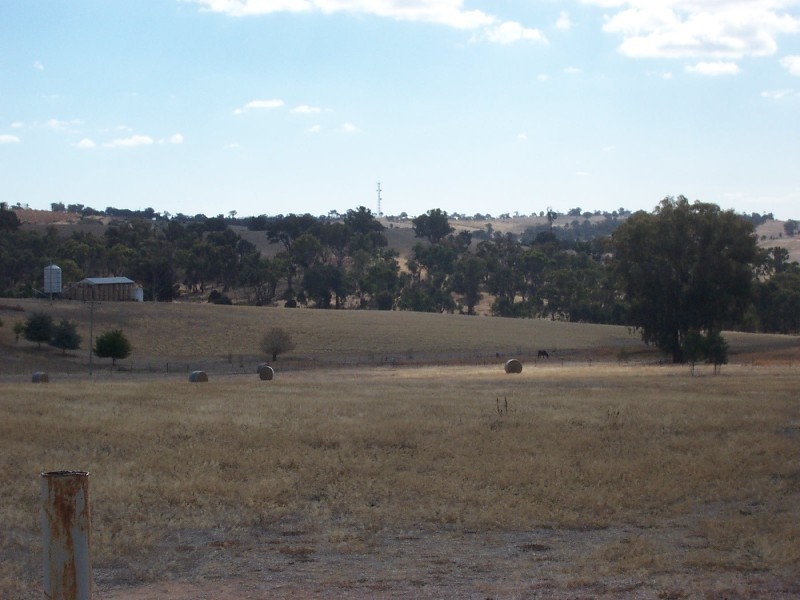 3848 Murringo Road, Young NSW 2594