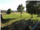 3848 Murringo Road, Young NSW 2594
