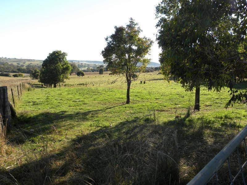 3848 Murringo Road, Young NSW 2594
