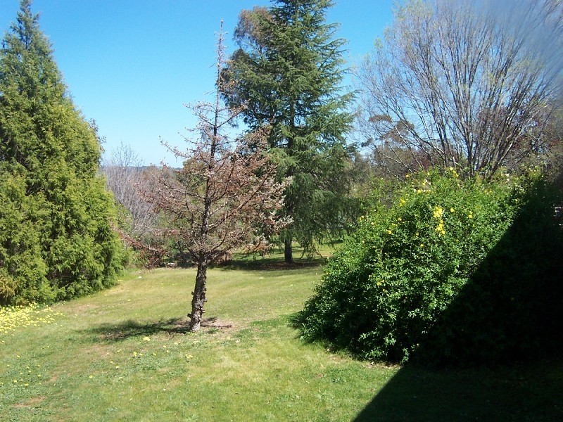 20 Jasprizza Avenue, Young NSW 2594