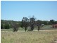 63 Templemore Street, Young NSW 2594