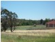 63 Templemore Street, Young NSW 2594
