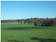 217 Maimuru SS Lane, Young NSW 2594