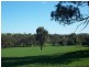 217 Maimuru SS Lane, Young NSW 2594