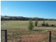 74 Old Monteagle Road, Young NSW 2594