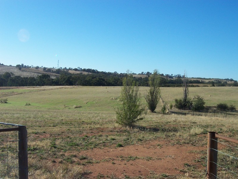 74 Old Monteagle Road, Young NSW 2594