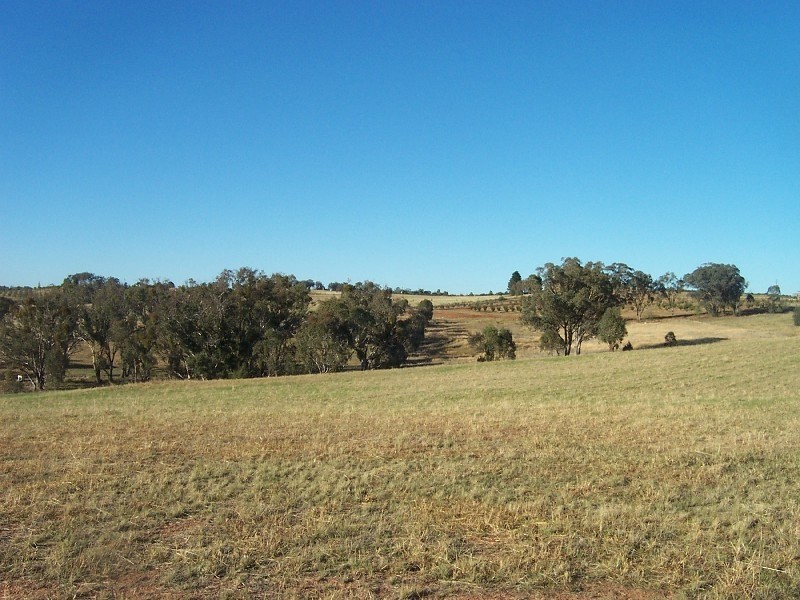 23 Cherry Vale Place, Young NSW 2594