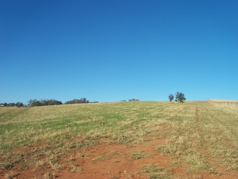 23 Cherry Vale Place, Young NSW 2594