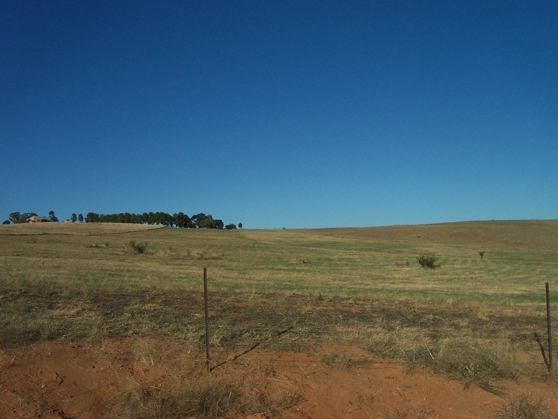 47 Cherry Vale Place, Young NSW 2594