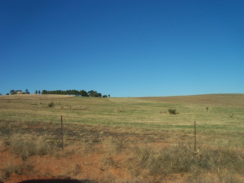 47 Cherry Vale Place, Young NSW 2594