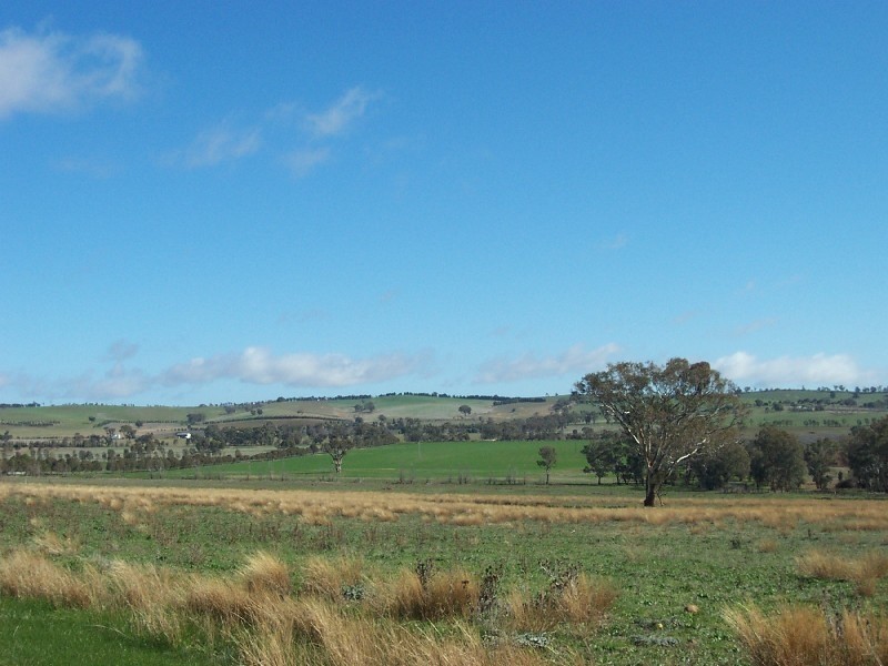Young NSW 2594