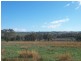 Young NSW 2594