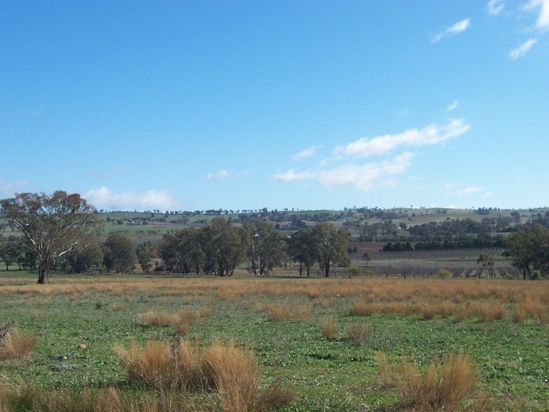 Young NSW 2594