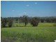 130 Forbes Lane, Young NSW 2594