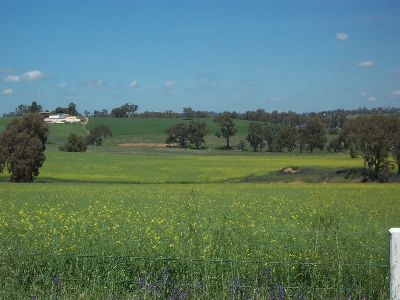 130 Forbes Lane, Young NSW 2594