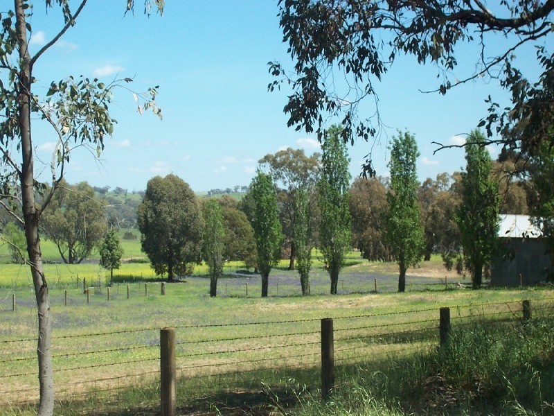 130 Forbes Lane, Young NSW 2594