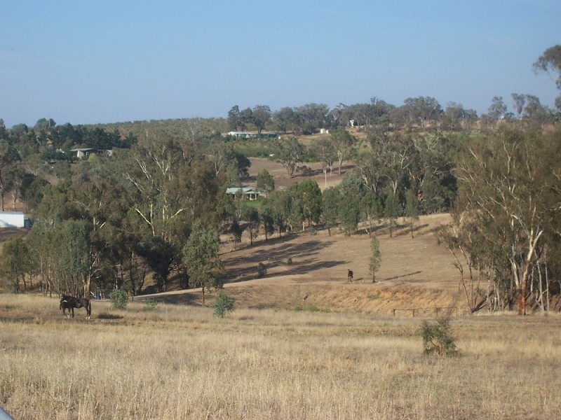 50 Donges Road, Young NSW 2594