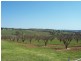 112 Kelly’s road, Young NSW 2594