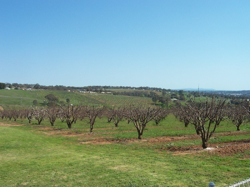 112 Kelly’s road, Young NSW 2594