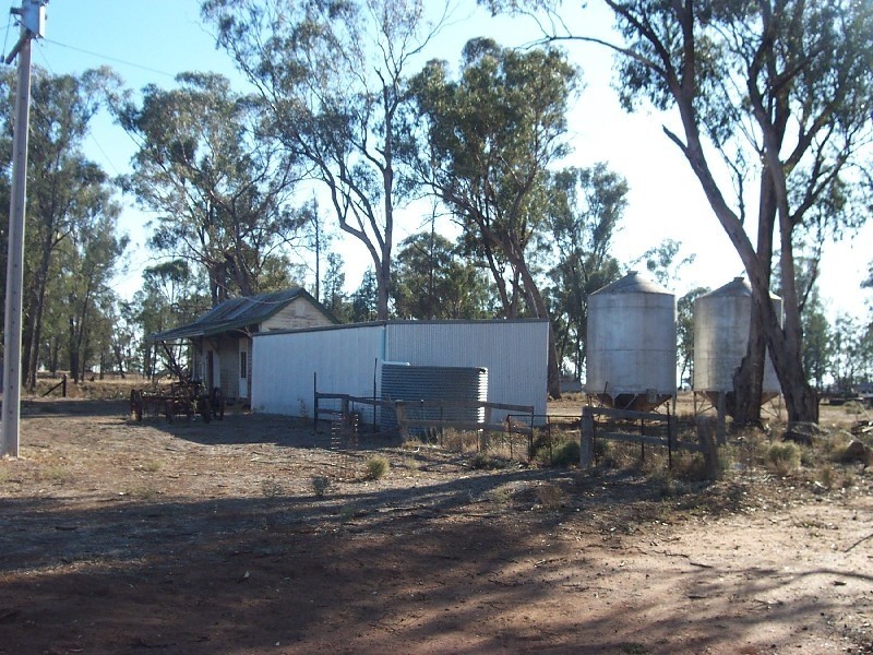 3844 Bribbaree Road, Bribbaree NSW 2594