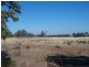 3844 Bribbaree Road, Bribbaree NSW 2594