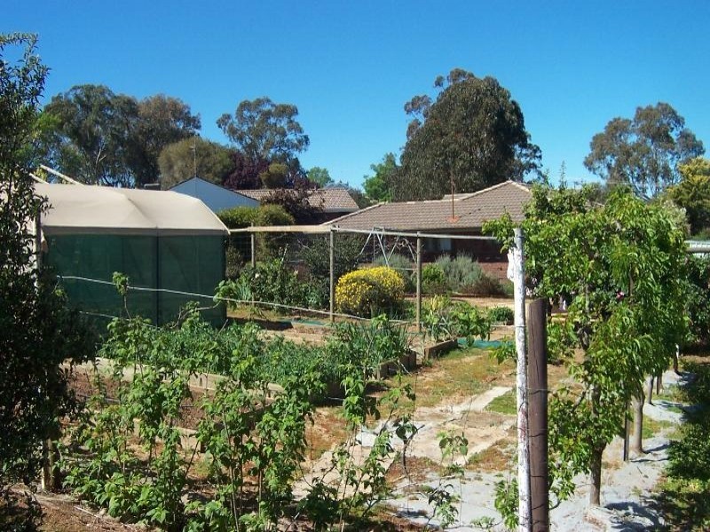 16 Watson Street, Young NSW 2594