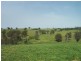 3944 Murringo Road, Young NSW 2594