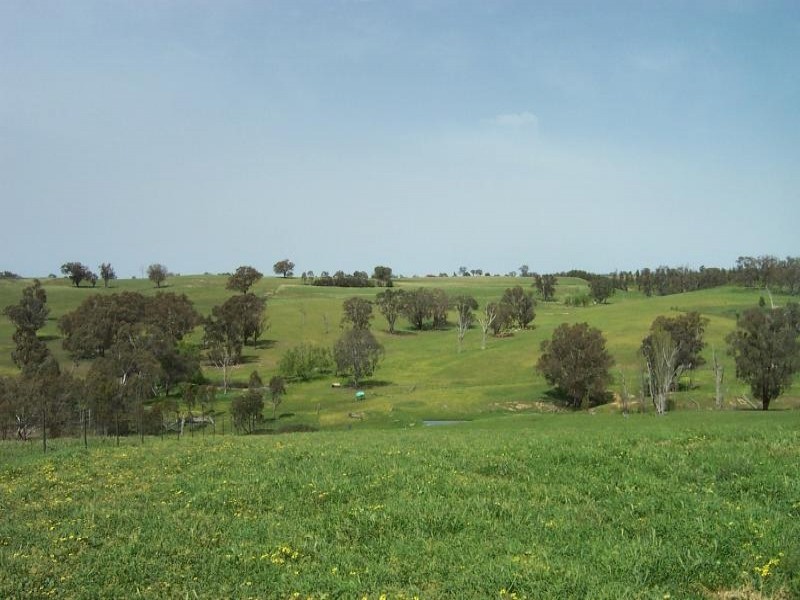 3944 Murringo Road, Young NSW 2594