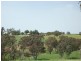 3944 Murringo Road, Young NSW 2594