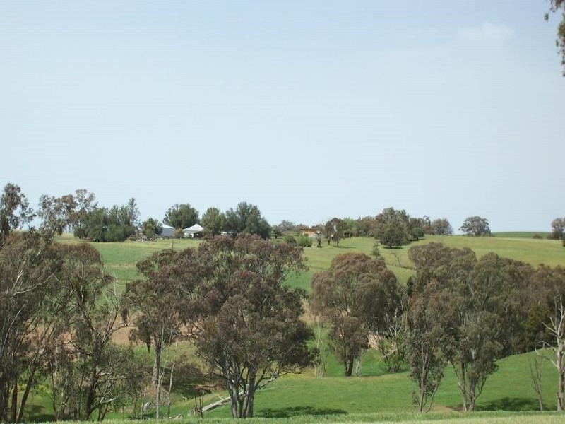 3944 Murringo Road, Young NSW 2594