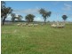 280 Elliotts Road, Crowther NSW 2803