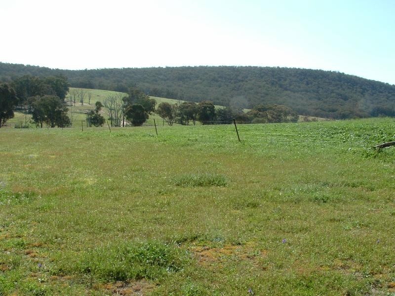 280 Elliotts Road, Crowther NSW 2803