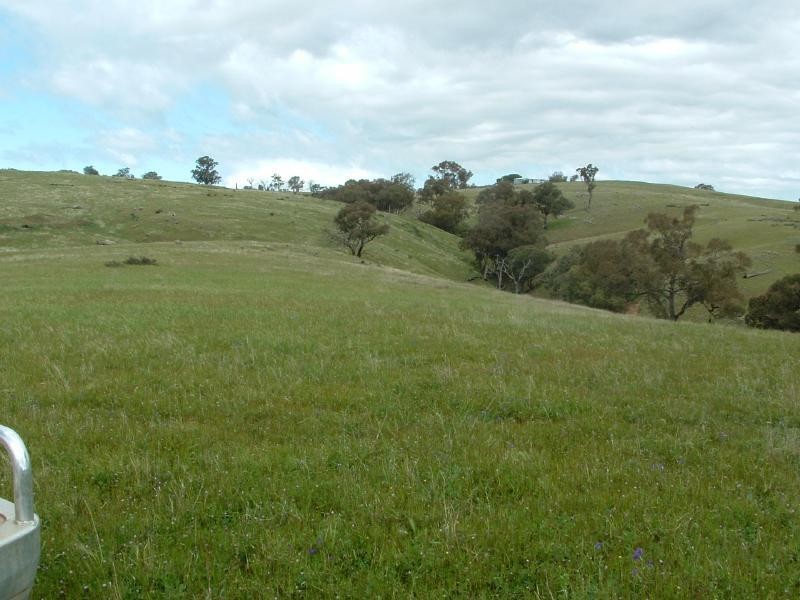 280 Elliotts Road, Crowther NSW 2803