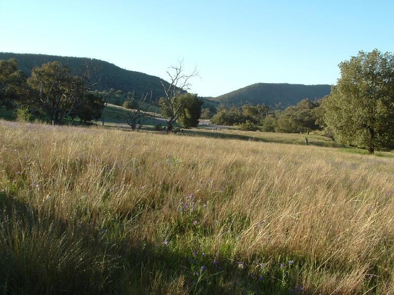 280 Elliotts Road, Crowther NSW 2803