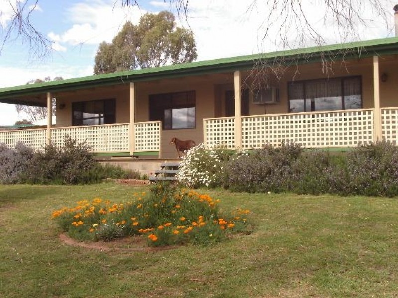 500 Chillingworks Road, Young NSW 2594