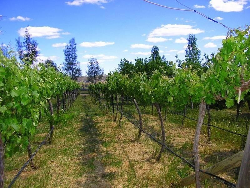 500 Chillingworks Road, Young NSW 2594