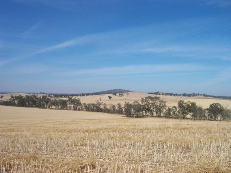 495 Weedallion Road, Tubbul NSW 2594