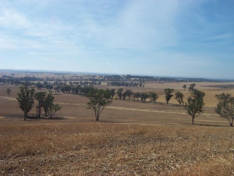 495 Weedallion Road, Tubbul NSW 2594