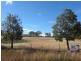 470 Chillingworks Road, Young NSW 2594