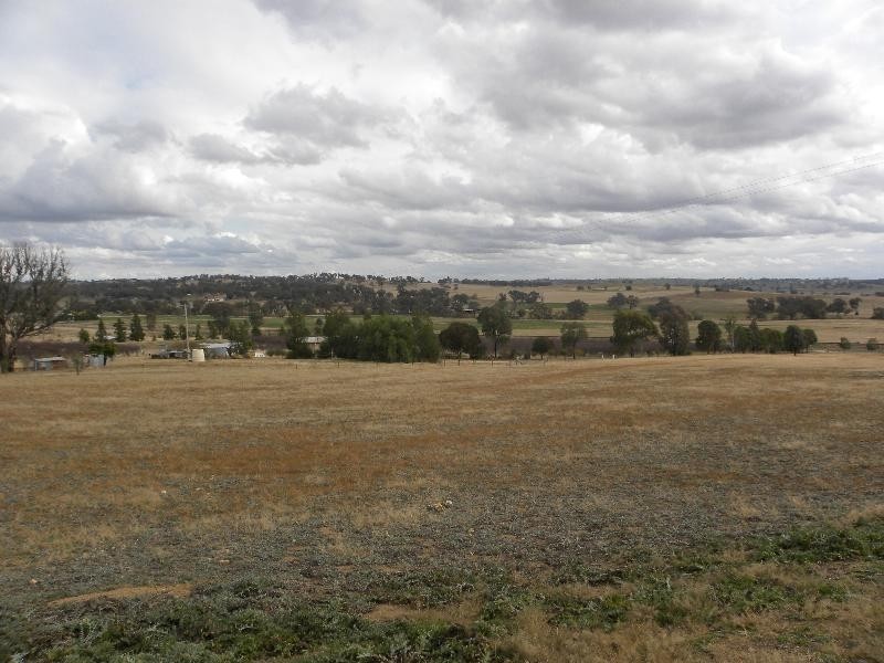 470 Chillingworks Road, Young NSW 2594