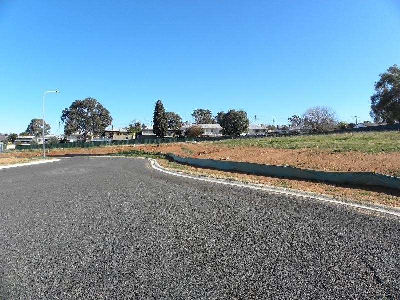 Lansdowne Street, Young NSW 2594