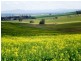Burnie Road, Young NSW 2594